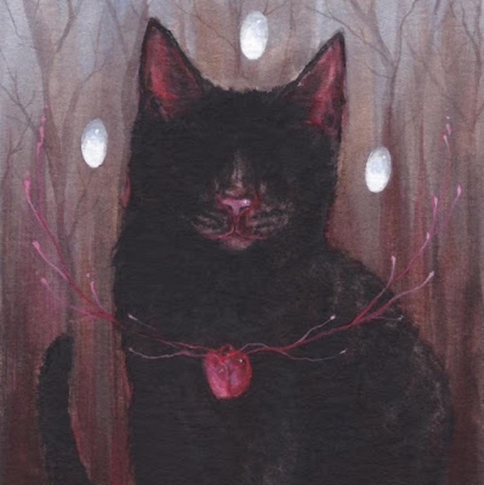 Meet your Posher, Kevinn